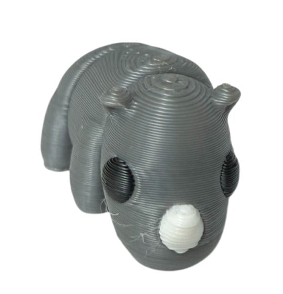 Baby Rhino