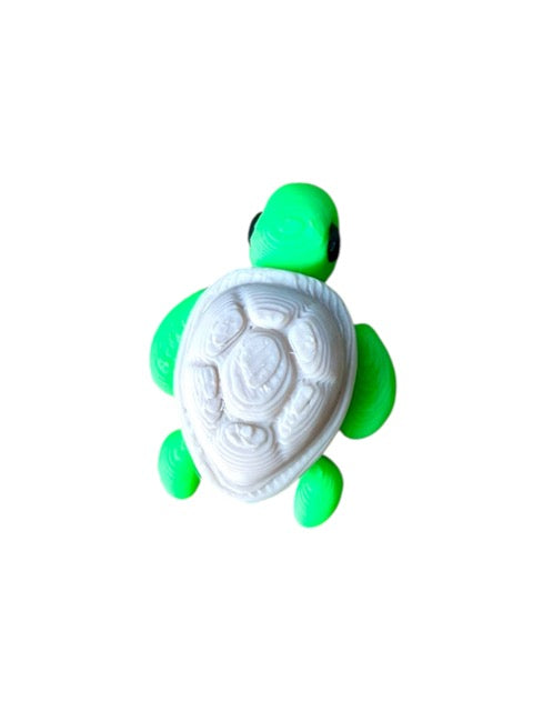 Baby Turtle