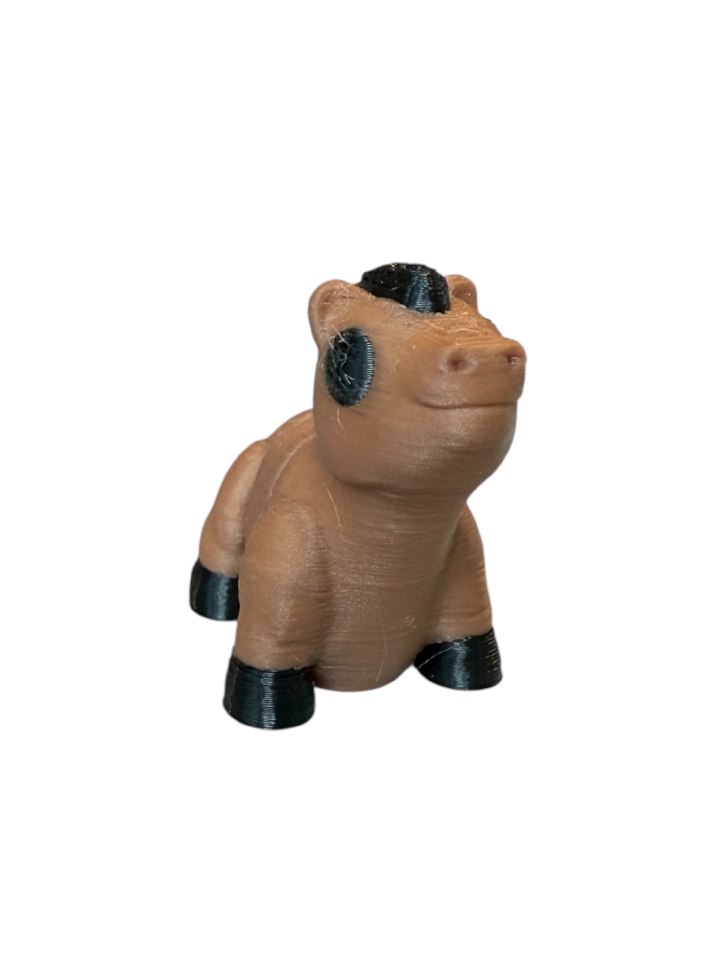 Baby Horse