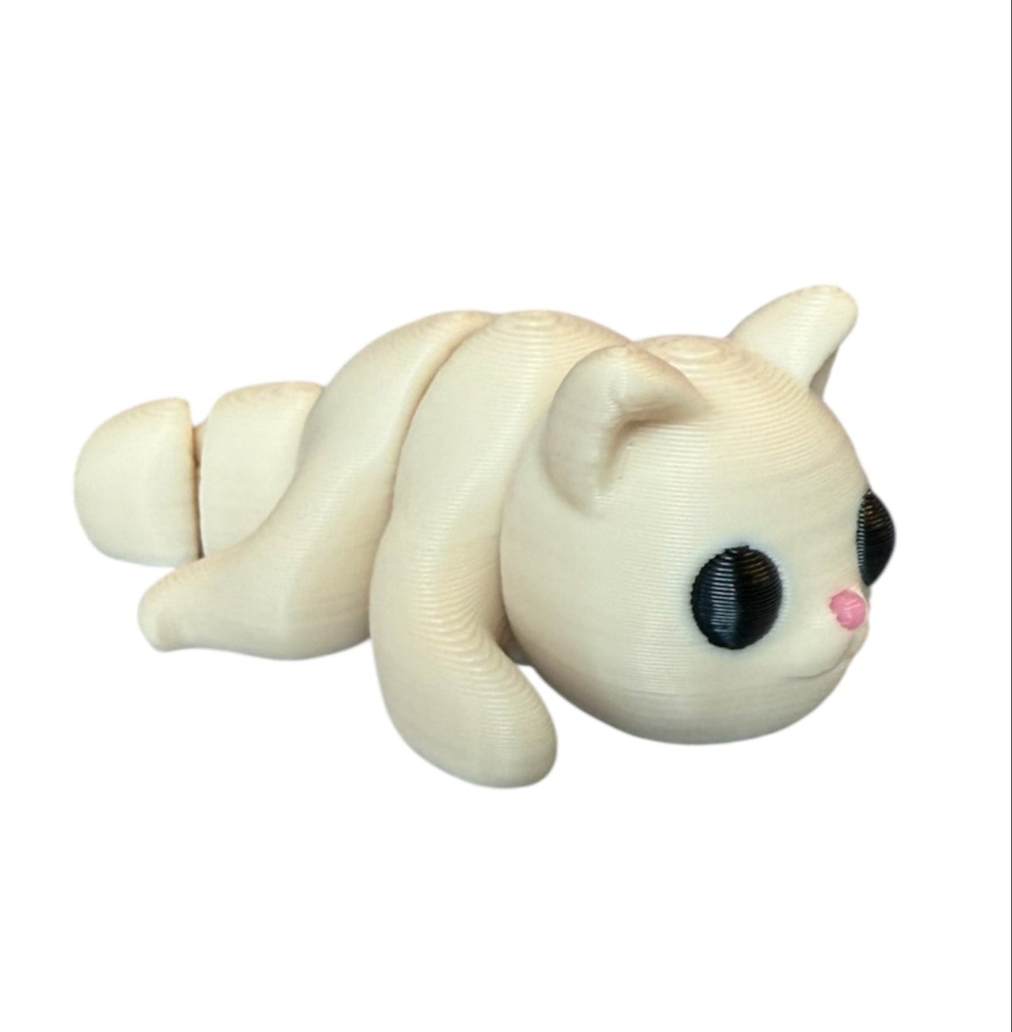 Baby Cat