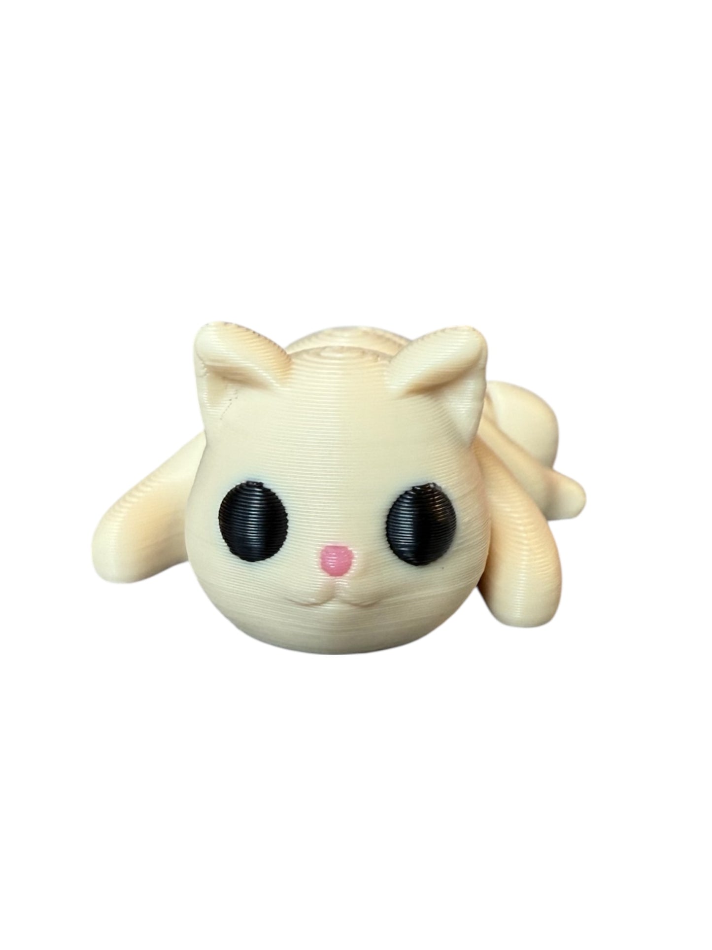 Baby Cat
