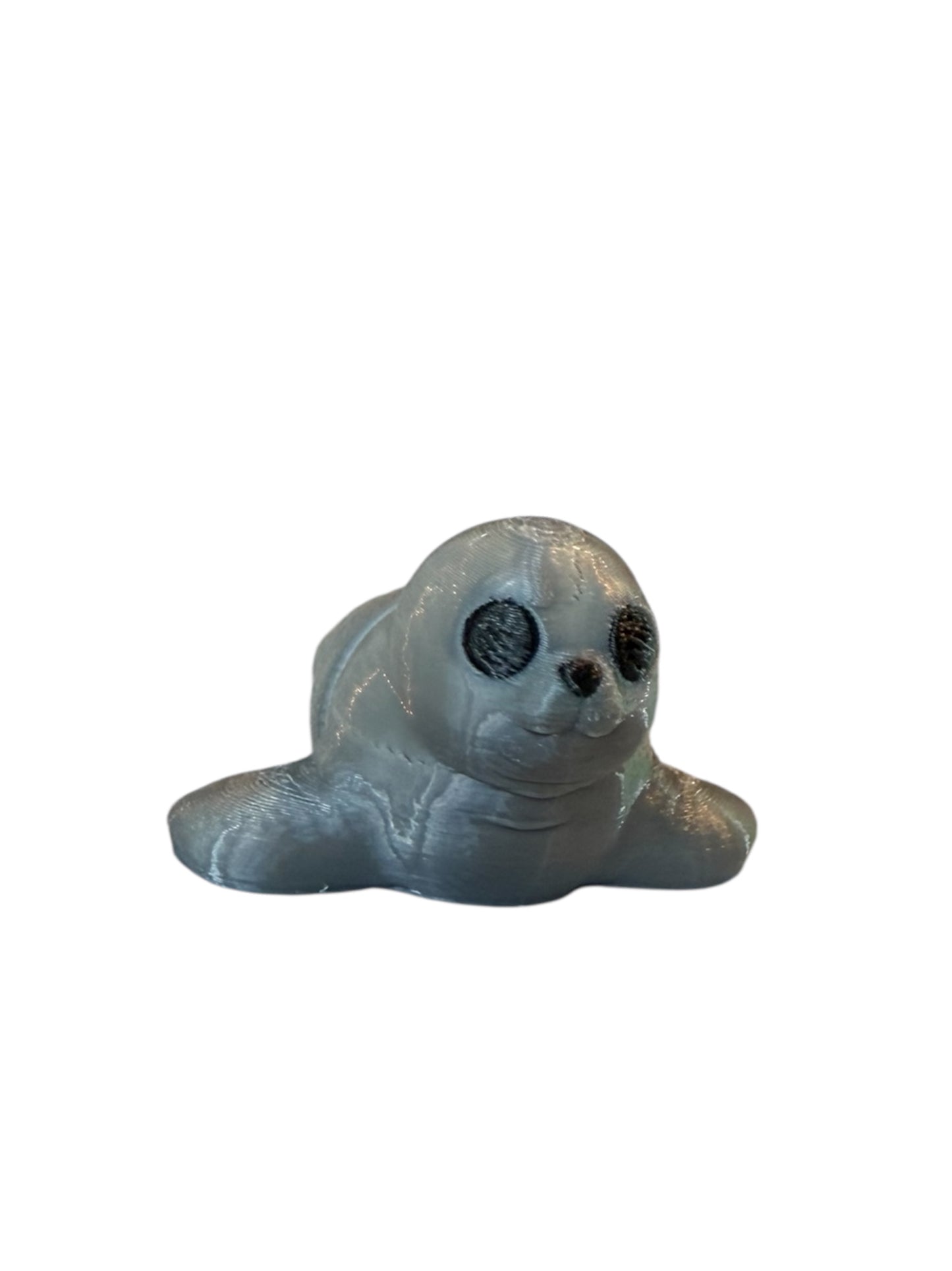 Baby Seal