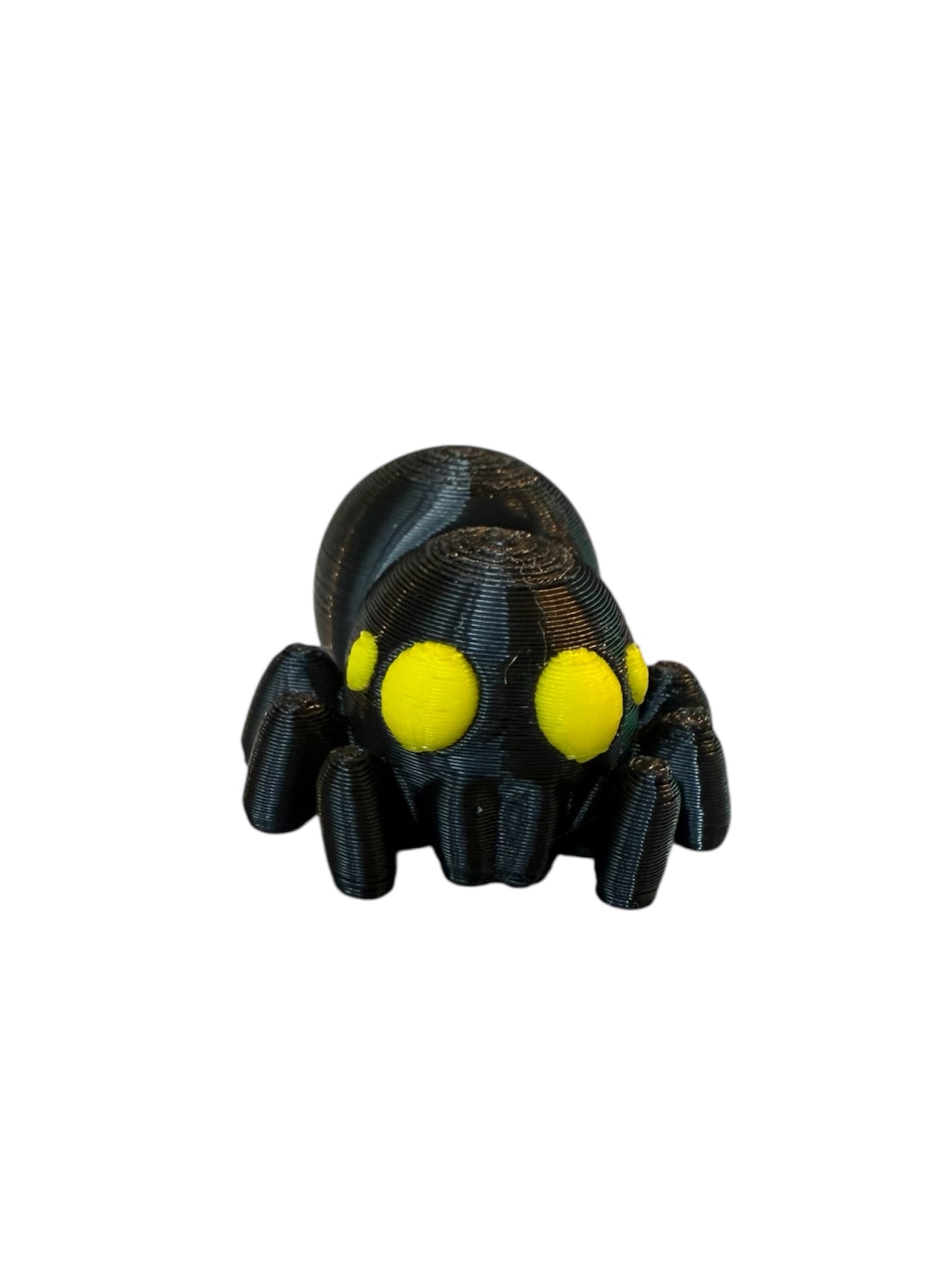 Baby Spider