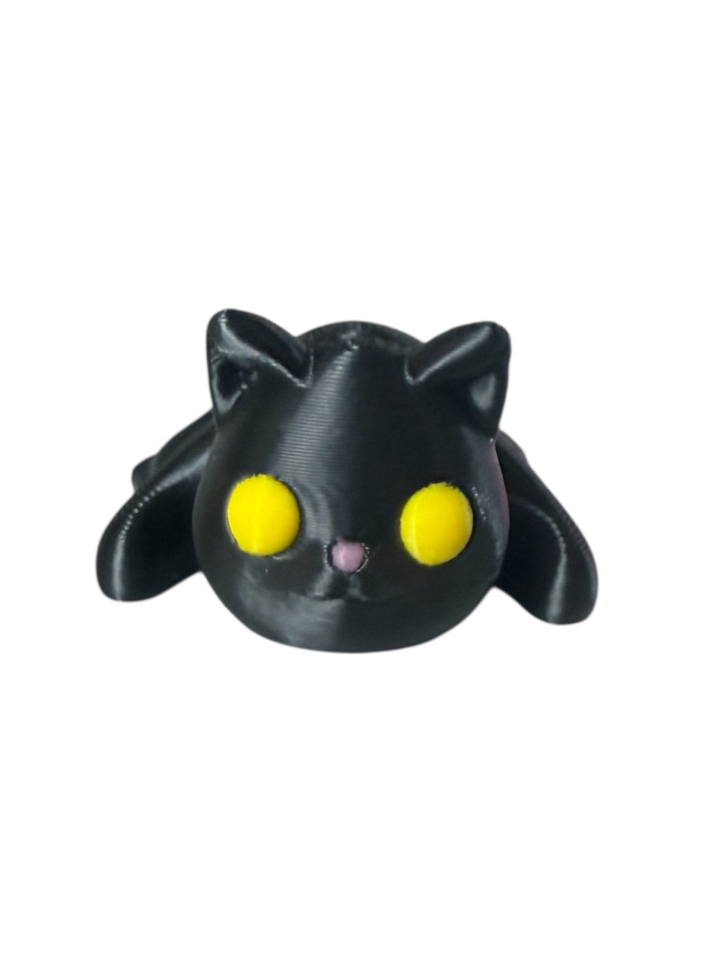 Baby Black Cat