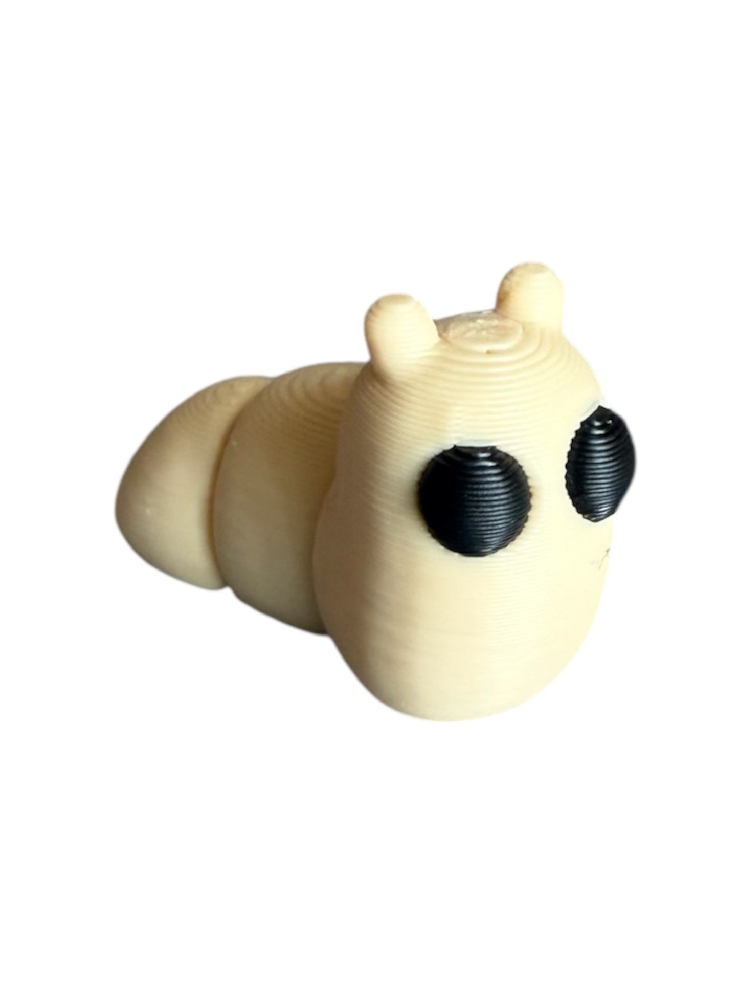 Baby Slug