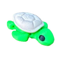 Baby Turtle