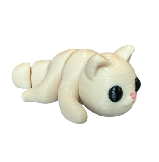 Baby Cat