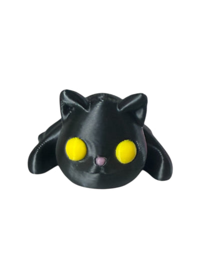 Baby Black Cat