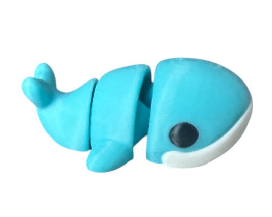 Baby Blue Whale