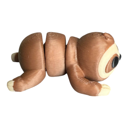 Baby Sloth