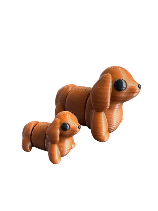 Baby Dachshund (Male)