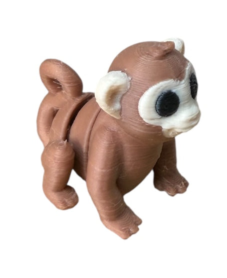 Baby Monkey